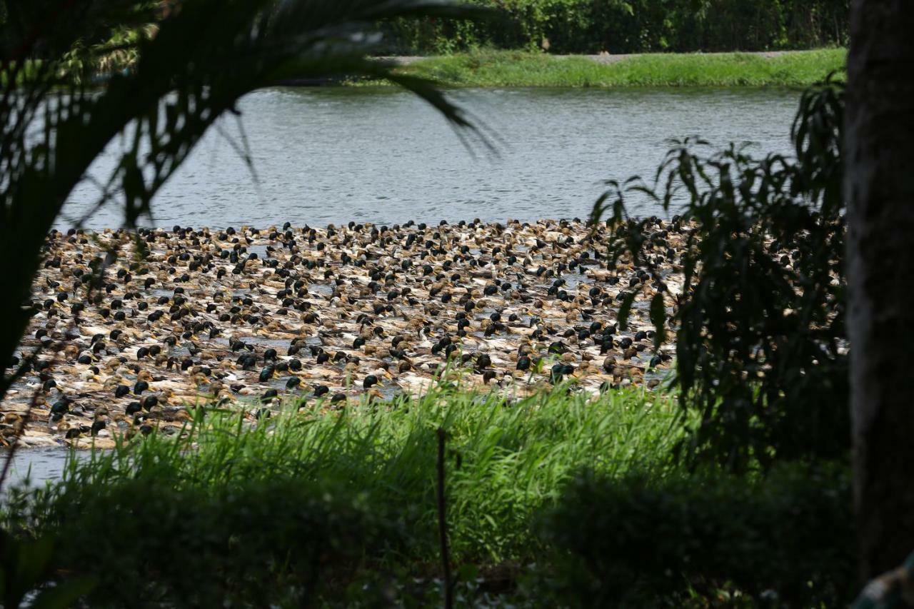 Green Palace Ayurveda Resort, Alleppey Alappuzha Bagian luar foto